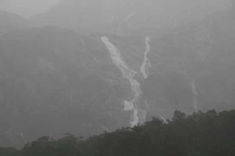 Nieuw-Zeeland 2011 - 1717